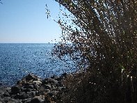pomulini-20110311 247
